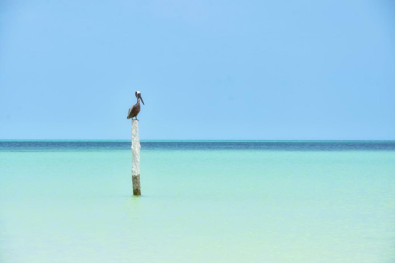 Isla Holbox Moon Dreams Yum Balam酒店 外观 照片